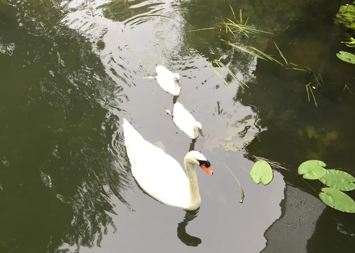 Apartman Loft Sur L'eau Avec Parking Párizs