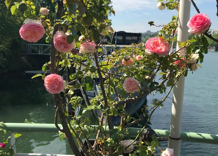 Apartman Loft Sur L'eau Avec Parking *