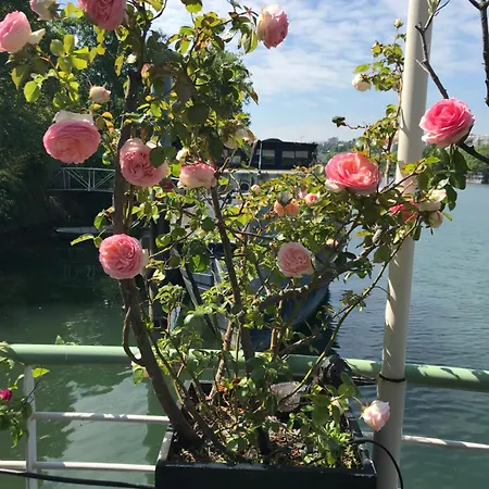 Appartement Loft Sur L'eau Avec Parking *